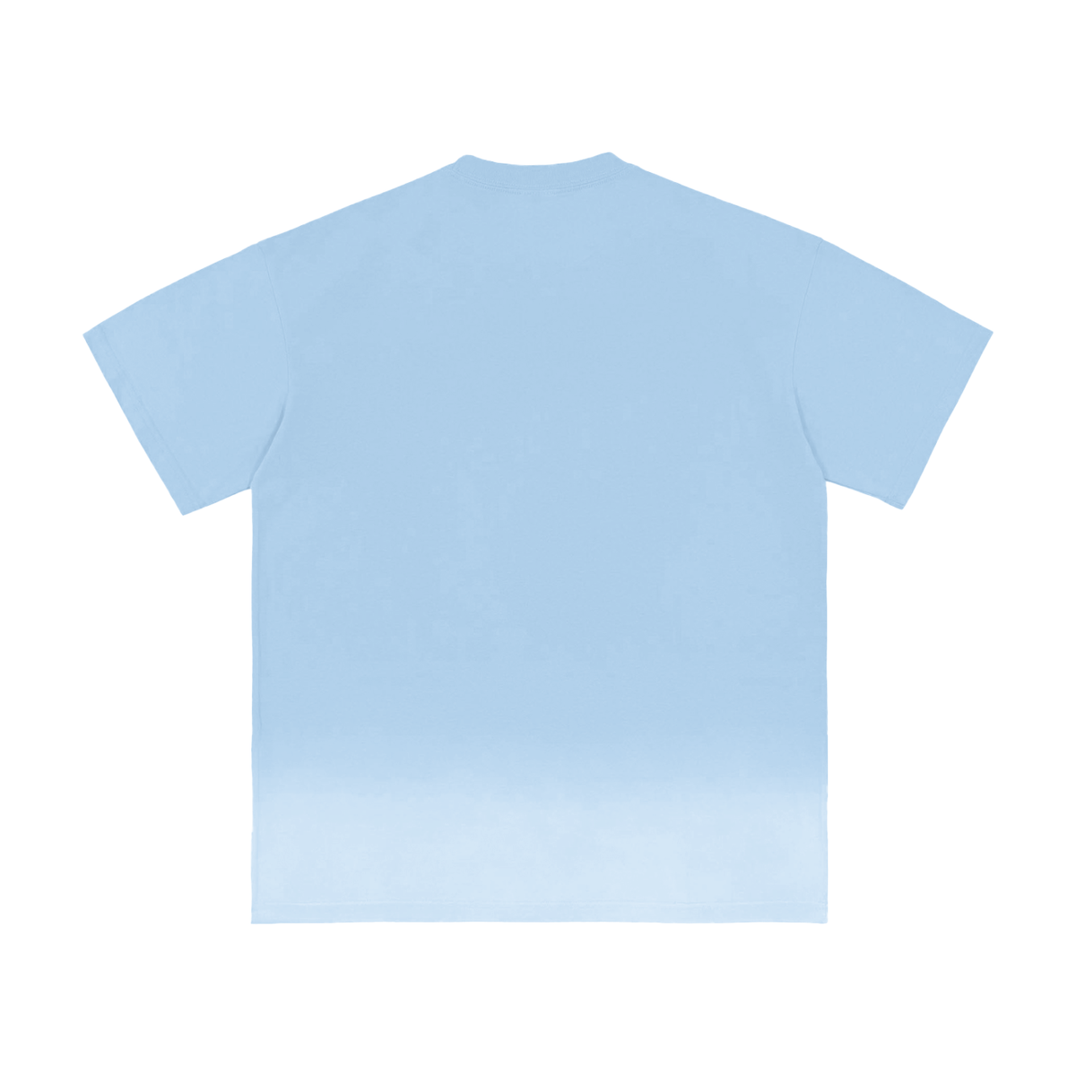 W.A.O - "The Adversary" Sunfade Vintage Washed T-Shirt